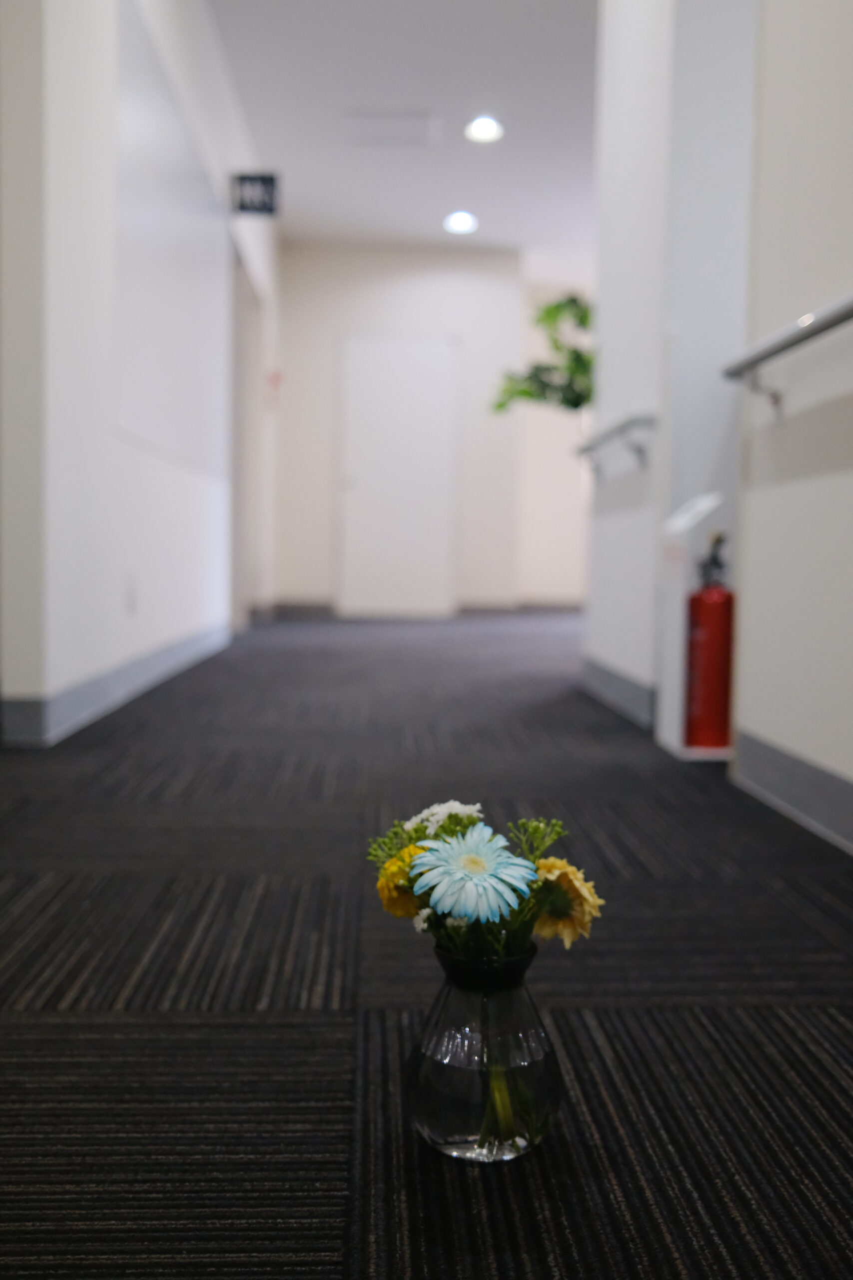 健軍事業所の廊下と花